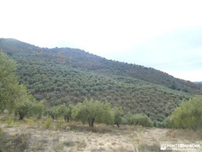 Valle del Genil:Naturaleza Sierra Nevada; aventura pirineos puente diciembre madrid fotos de la sier
